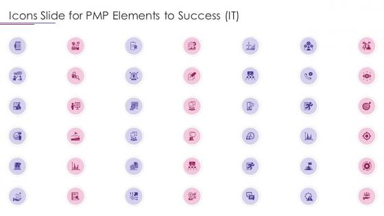 Icons Slide For PMP Elements To Success IT