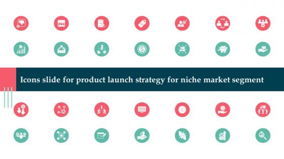 Icons Slide For Product Launch Strategy For Niche Market Segment
