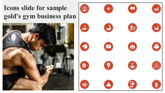 Icons Slide For Sample Golds Gym Business Plan Ppt Ideas Graphics Download BP SS