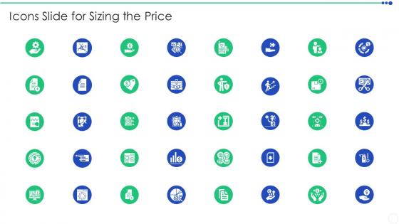 Icons Slide For Sizing The Price Ppt Themes