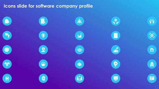 Icons Slide For Software Company Profile Ppt Professional