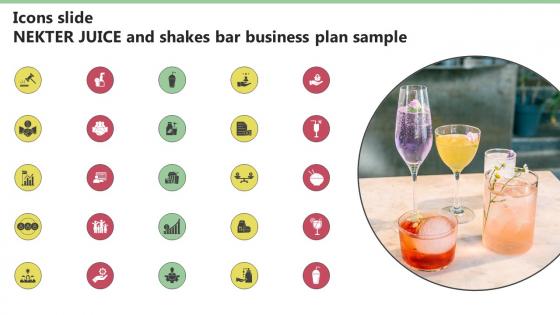 Icons Slide Nekter Juice And Shakes Bar Business Plan Sample BP SS