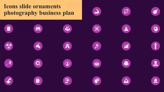 Icons Slide Ornaments Photography Business Plan BP SS