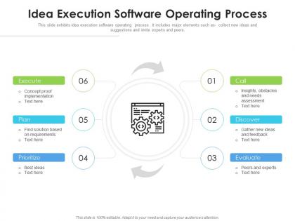 Idea execution software operating process