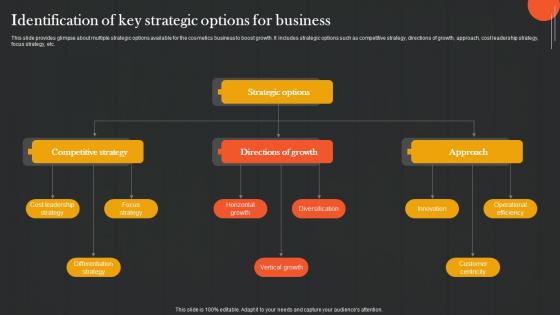 Identification Of Key Strategic Analyzing And Adopting Strategic Option Strategy SS V