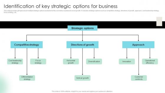 Identification Of Key Strategic Options Detailed Strategic Analysis For Better Organizational Strategy SS V