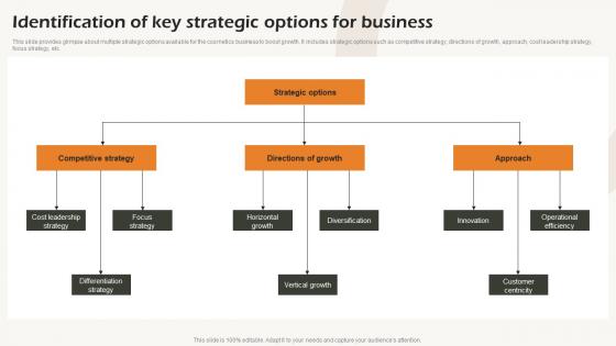 Identification Of Key Strategic Options For Business Business Strategic Analysis Strategy SS V