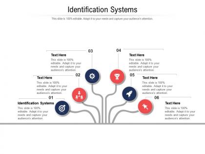 Identification systems ppt powerpoint presentation model information cpb