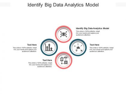 Identify big data analytics model ppt powerpoint presentation layouts vector cpb