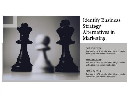 Identify business strategy alternatives in marketing