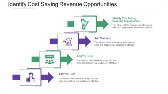 Identify Cost Saving Revenue Opportunities Ppt Powerpoint Presentation Inspiration Cpb