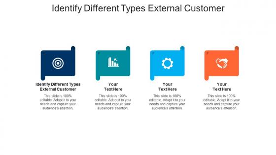 Identify different types external customer ppt powerpoint presentation professional background image cpb