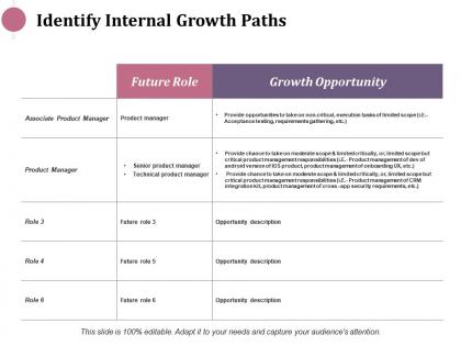 Identify internal growth paths ppt infographics design inspiration