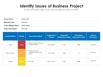 Identify issues of business project