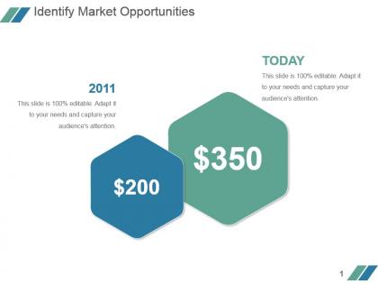 Identify market opportunities powerpoint slide backgrounds