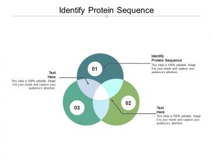 Identify protein sequence ppt powerpoint presentation professional grid cpb