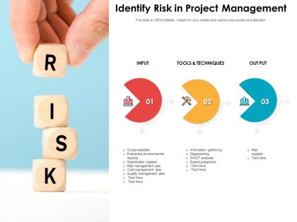 Identify risk in project management