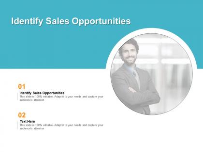 Identify sales opportunities ppt powerpoint presentation design ideas cpb