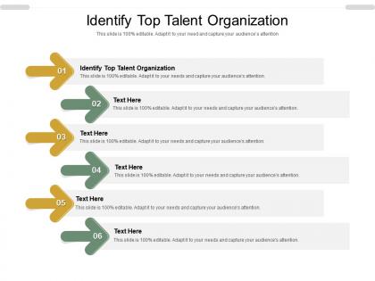 Identify top talent organization ppt powerpoint presentation show cpb