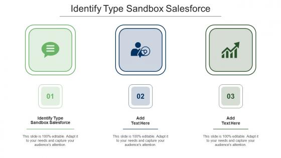 Identify Type Sandbox Salesforce Ppt Powerpoint Presentation Slides Smartart Cpb