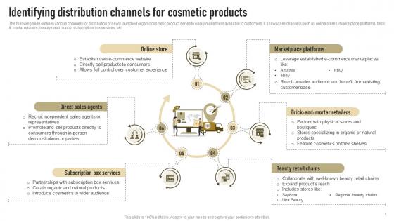 Identifying Distribution Channels For Cosmetic Products Successful Launch Of New Organic Cosmetic