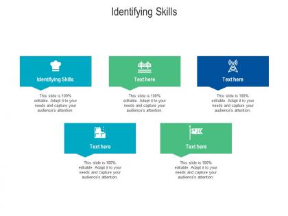 Identifying skills ppt powerpoint presentation file graphic images cpb
