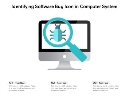 Identifying software bug icon in computer system