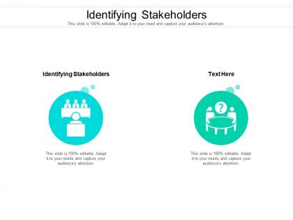 Identifying stakeholders ppt powerpoint presentation ideas sample cpb