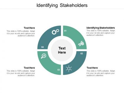 Identifying stakeholders ppt powerpoint presentation pictures graphics cpb