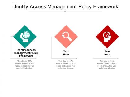 Identity access management policy framework ppt powerpoint presentation icon format ideas cpb