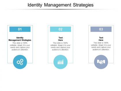 Identity management strategies ppt powerpoint presentation summary ideas cpb