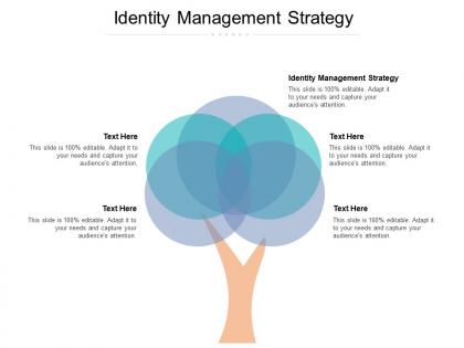 Identity management strategy ppt powerpoint presentation ideas guide cpb