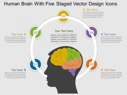 Ie human brain with five staged vector design icons flat powerpoint design