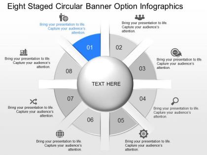 Ii eight staged circular banner option infographics powerpoint template