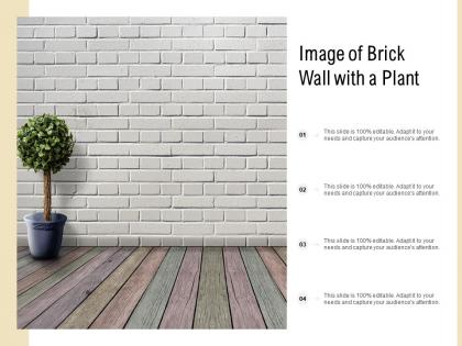 Image of brick wall with a plant