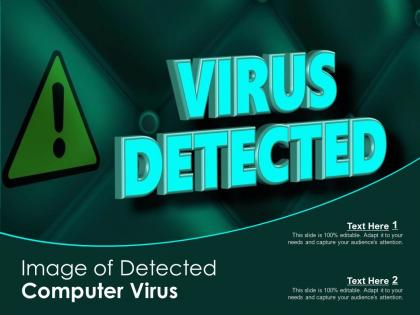 Image of detected computer virus