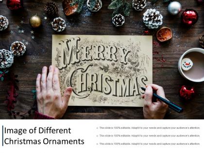 Image of different christmas ornaments