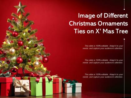 Image of different christmas ornaments ties on xmas tree