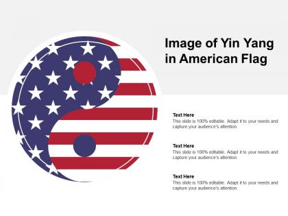 Image of yin yang in american flag