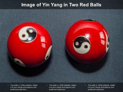 Image of yin yang in two red balls