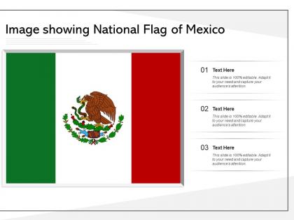 Image showing national flag of mexico