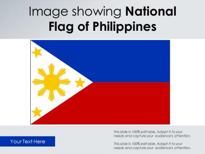 Image showing national flag of philippines