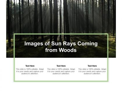 Images of sun rays coming from woods