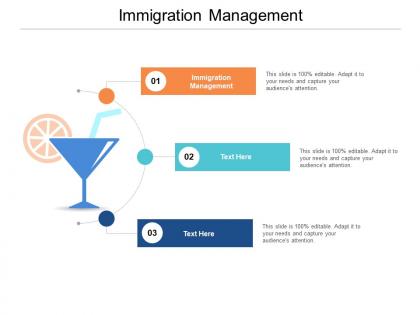 Immigration management ppt powerpoint presentation layouts samples cpb