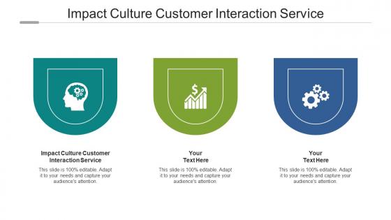 Impact Culture Customer Interaction Service Ppt Powerpoint Presentation Outline Aids Cpb
