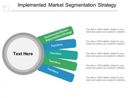 Implemented market segmentation strategy ppt powerpoint presentation outline vector cpb