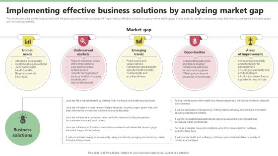 Implementing Effective Business Solutions Nekter Juice And Shakes Bar Business Plan Sample BP SS