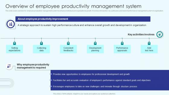 Implementing Employee Productivity Overview Of Employee Productivity Management System