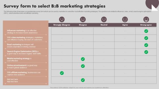 Implementing Marketing Strategies Survey Form To Select B2B Marketing Strategies MKT SS V