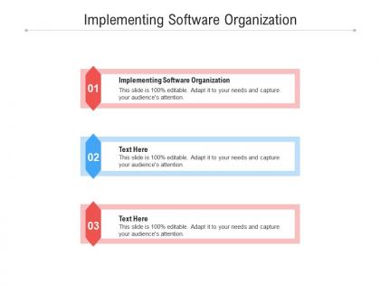 Implementing software organization ppt powerpoint presentation portfolio skills cpb